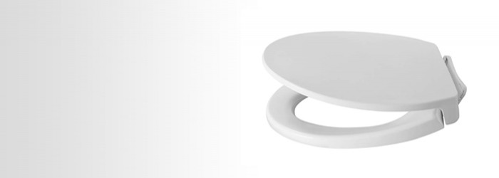 Nắp và bệ ngồi